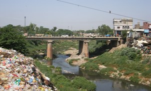 105-20080516Paki.jpg