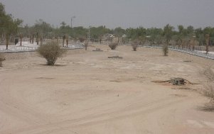 129-20080522UAE.jpg