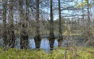 24-20050417USA.jpg