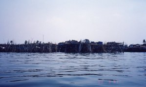 38-20030331Philippine-manila-2.jpg