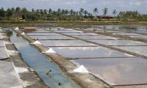 65-200705Philipinne.jpg