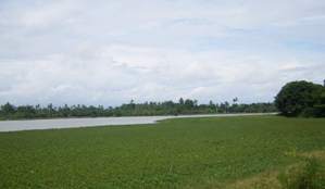 87-200712Makassar.jpg