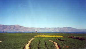 89-200101china.jpg